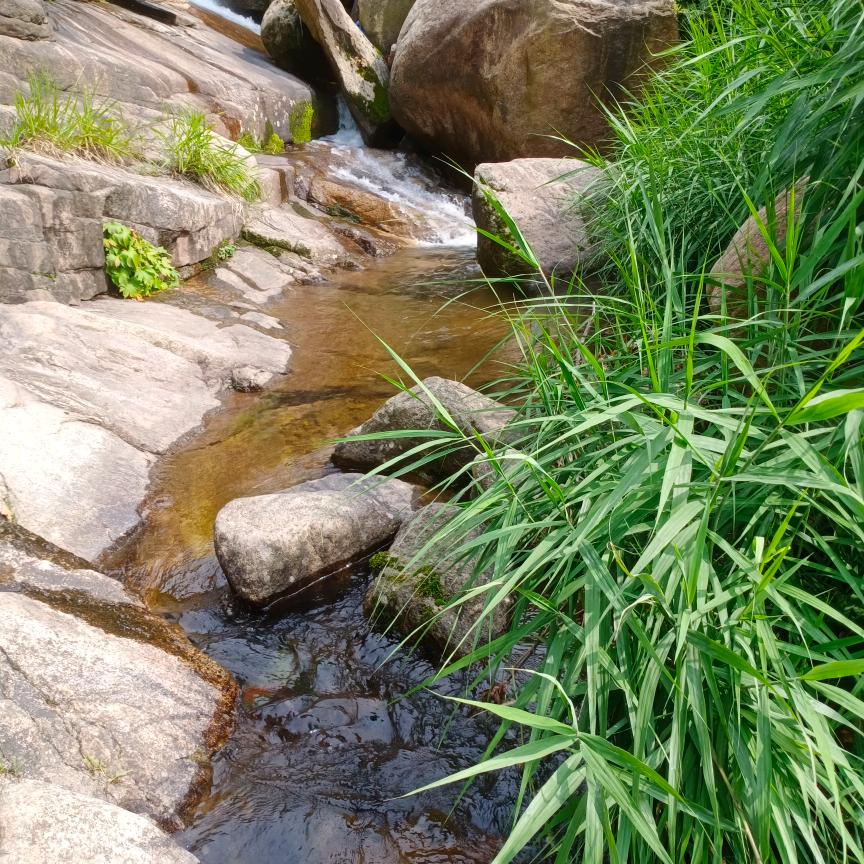 小海鲜