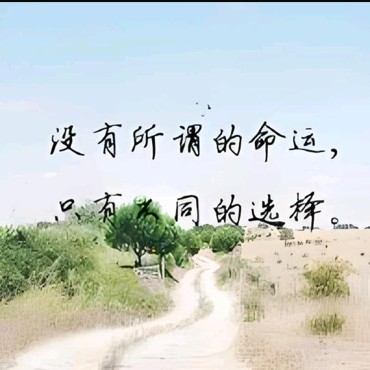 放飞的风筝