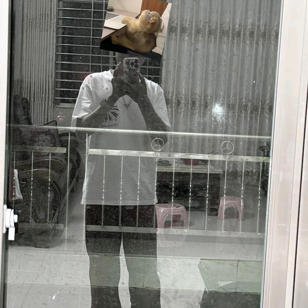 快到碗里来 🙃