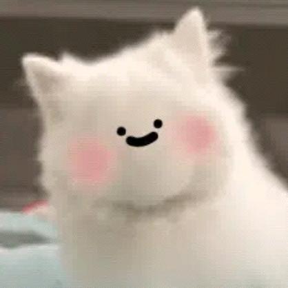肉汤圆