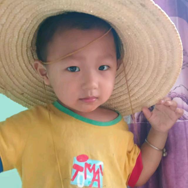 Z先生（教英语的数学老师）