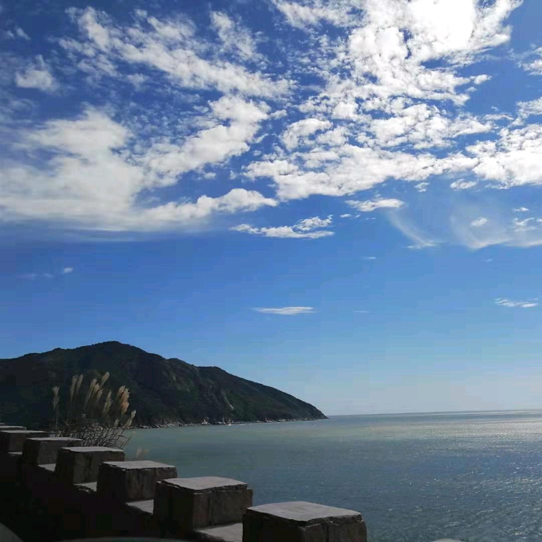 峰哥