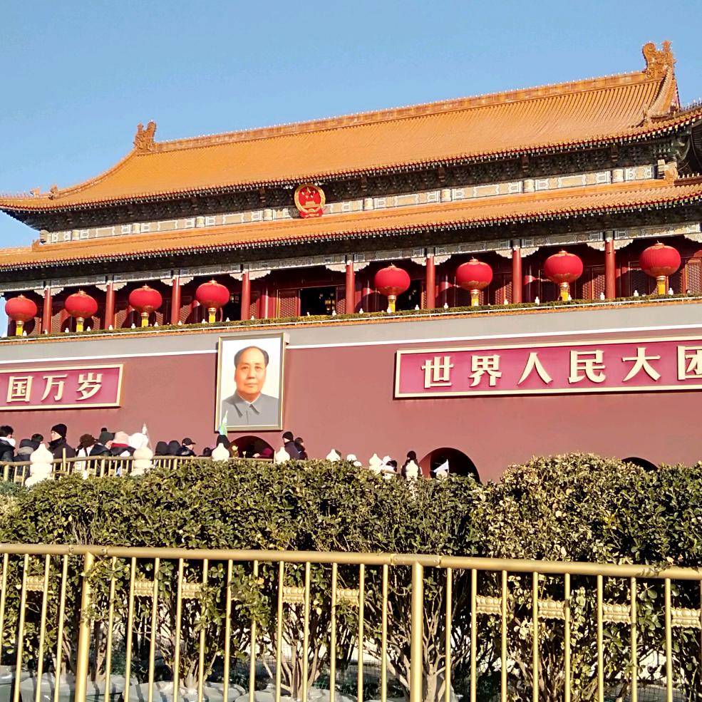 陈老师