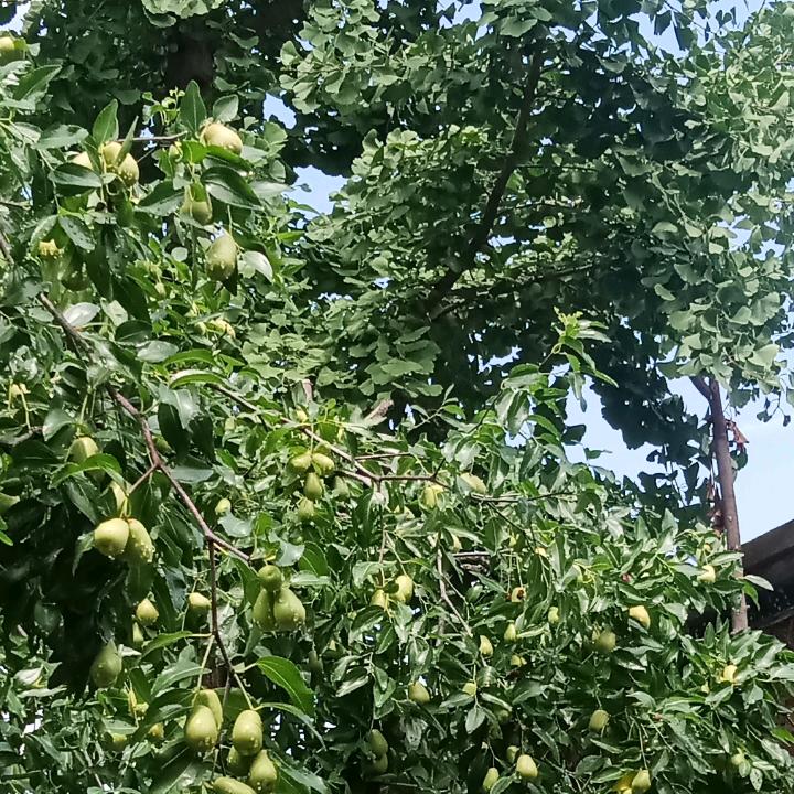 开心就好，健康最好