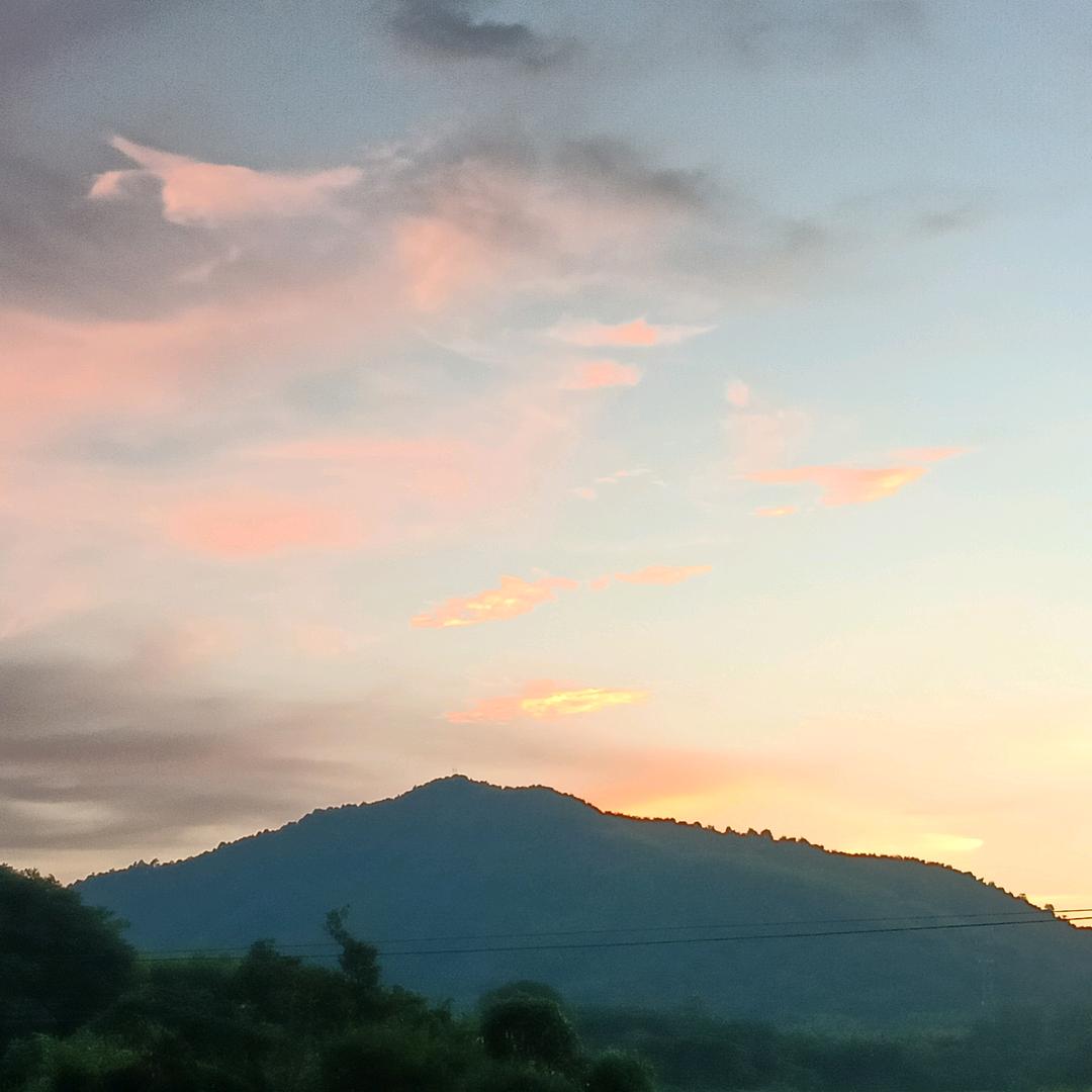 “陈”🌺“余”🍃落雁