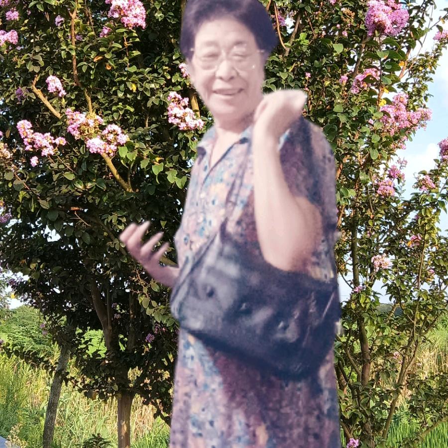 顾后瞻前（曹大姐）下午5点直播