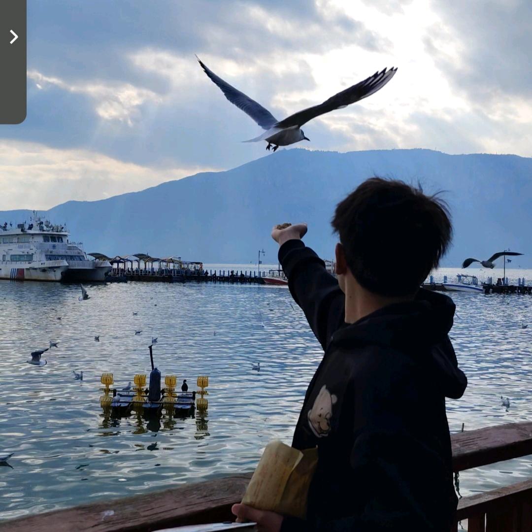 骑着蜗牛追导弹~