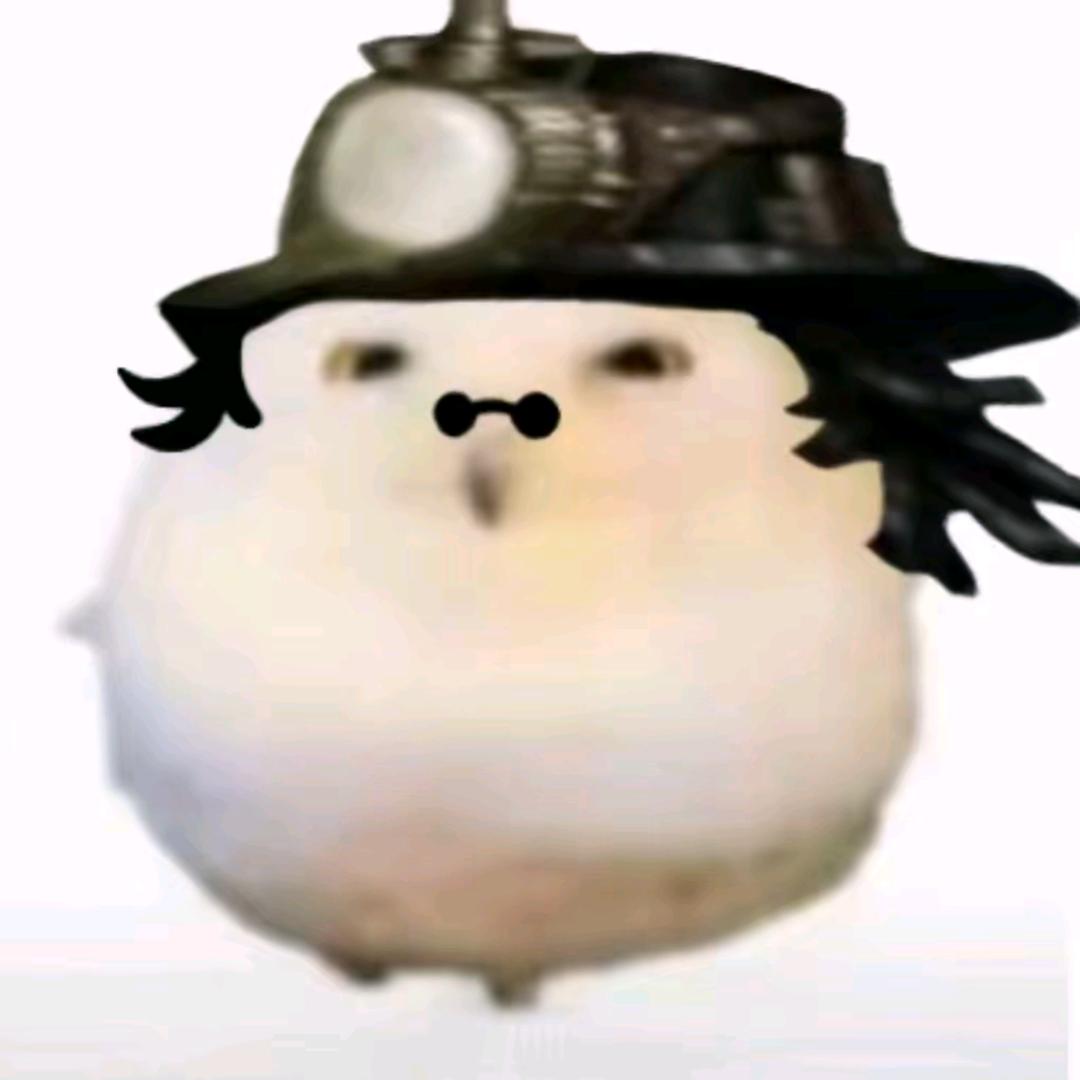 鼹鼠黑