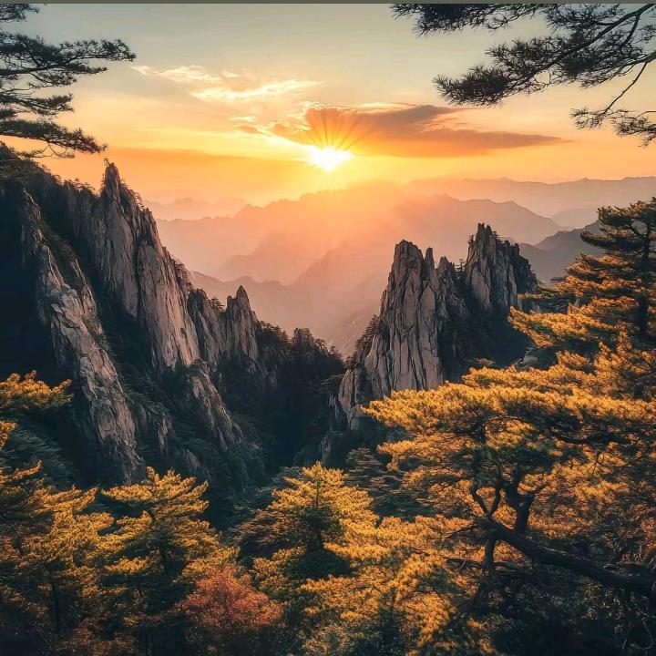 百利家居严选