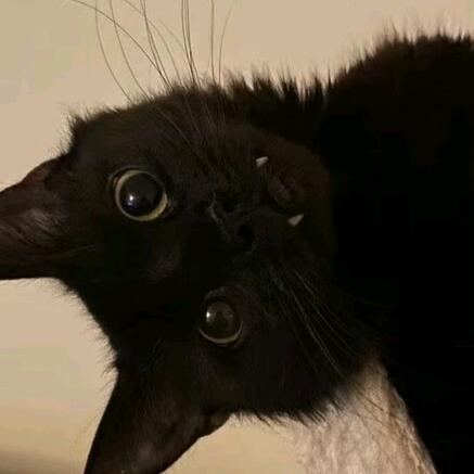 日落时ᵏⁱˢˢ _