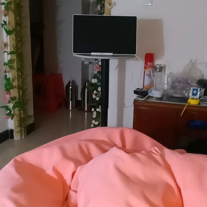 公民身