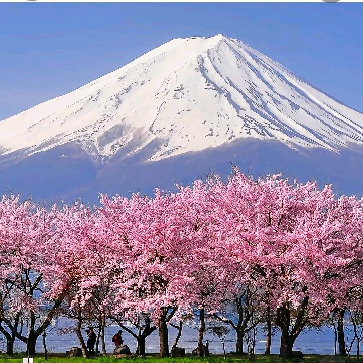 一生平安