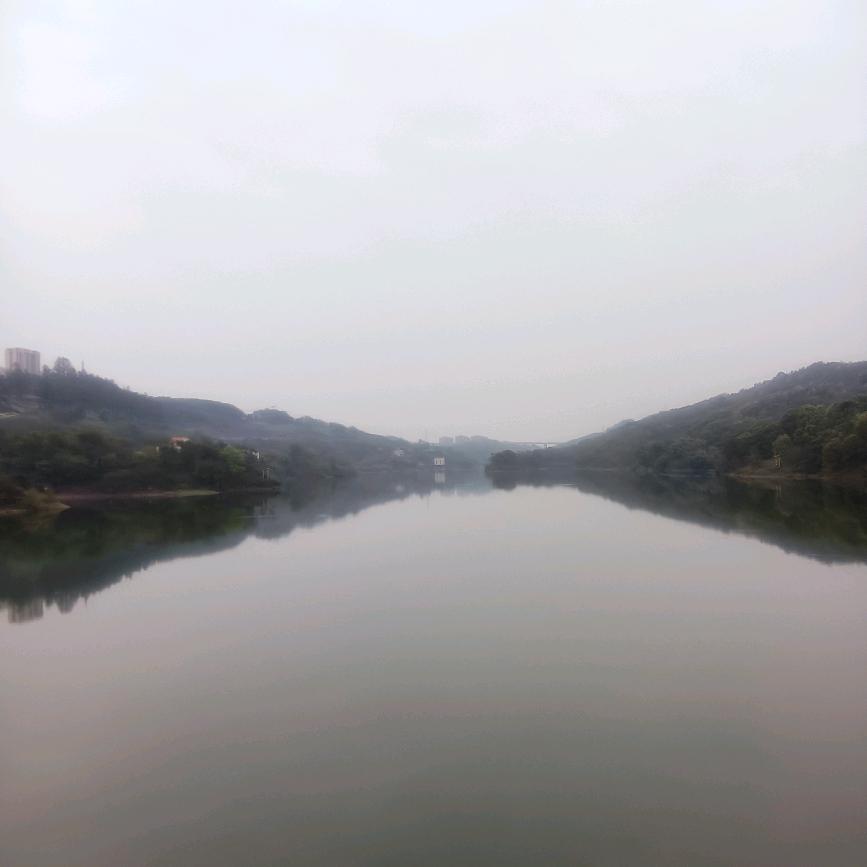 顺意
