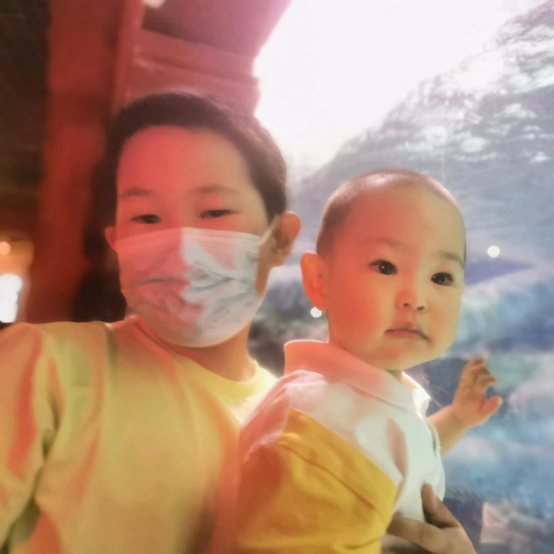 阡陌红尘(ง •̀_•́)ง