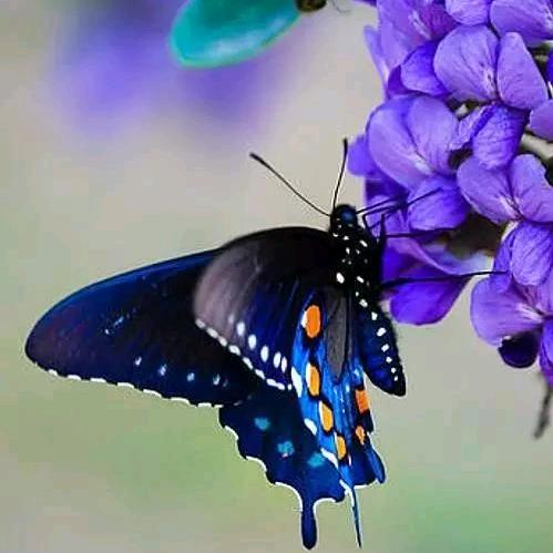 心ོ̤̮̤̮在ོ̤̮̤̮起ོ̤̮̤̮飞̤