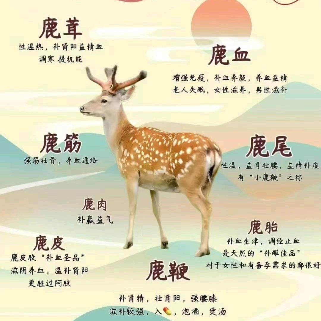 鹿源堂鹿产品，一手货源，一件也发货
