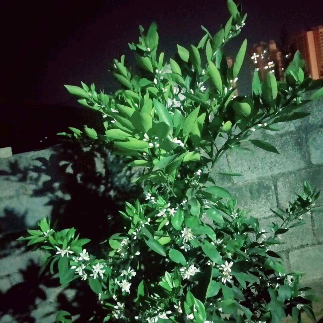 阳光正暖
