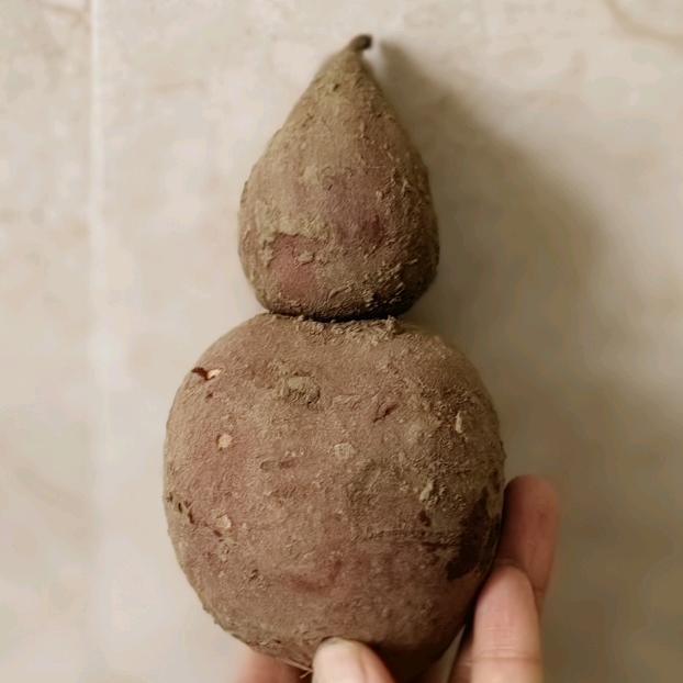 柠檬不酸