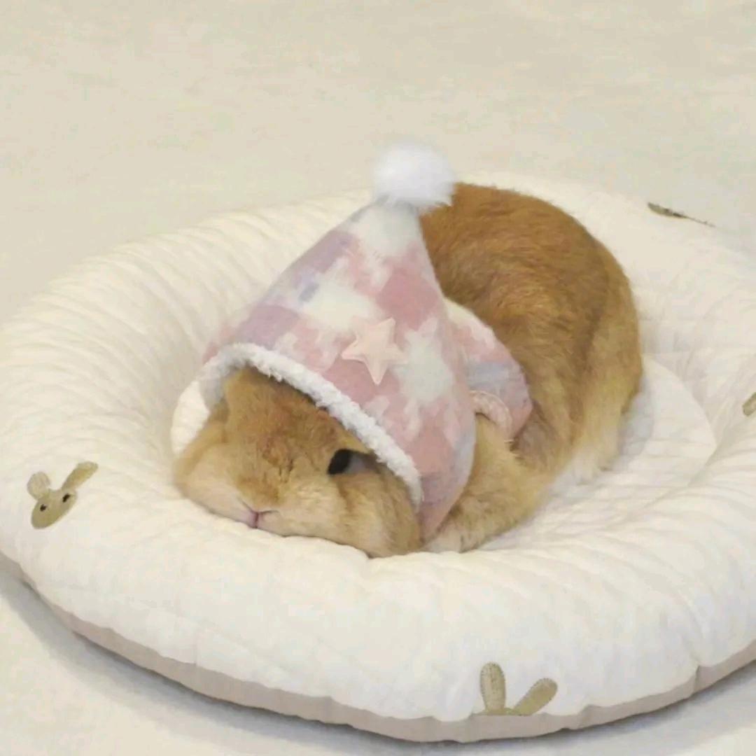 𝘾𝙤𝙤𝙣𝙮 𝙕ᙆ