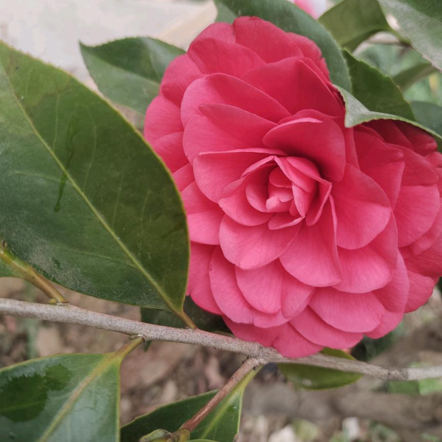 💞💕⁵²º࿐