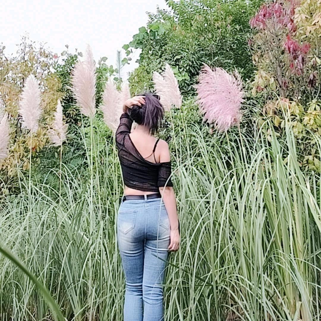 阿🐟九