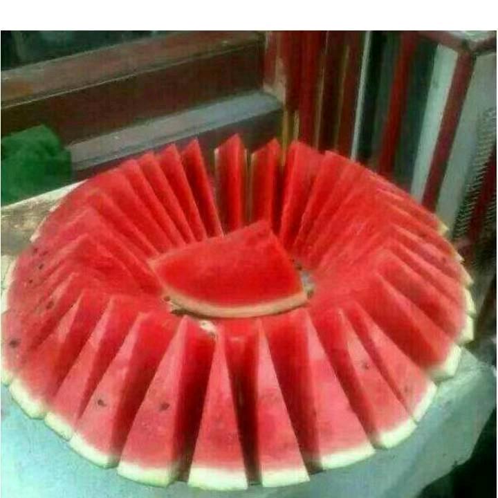 老来南哥。