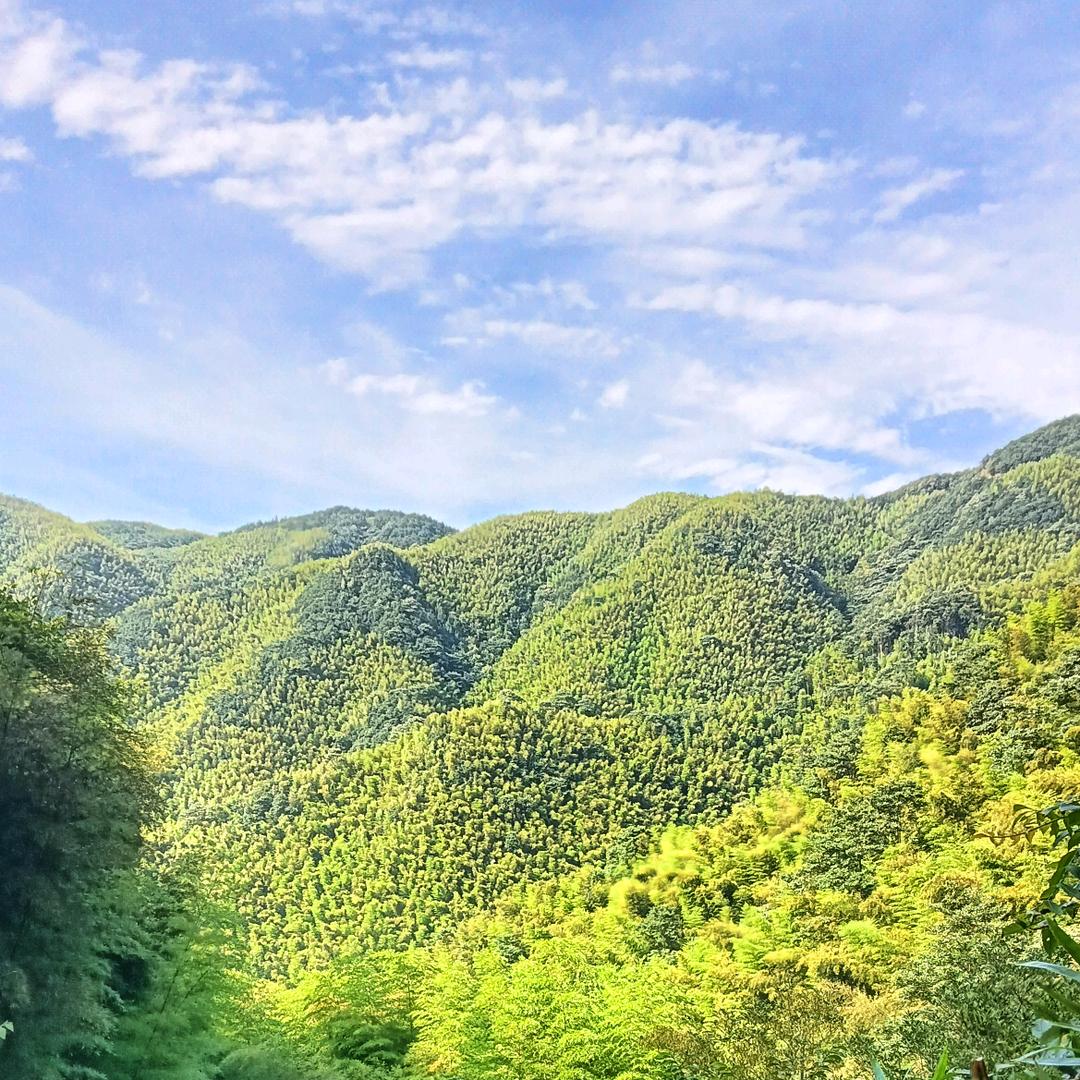 頂冠产业制造园张