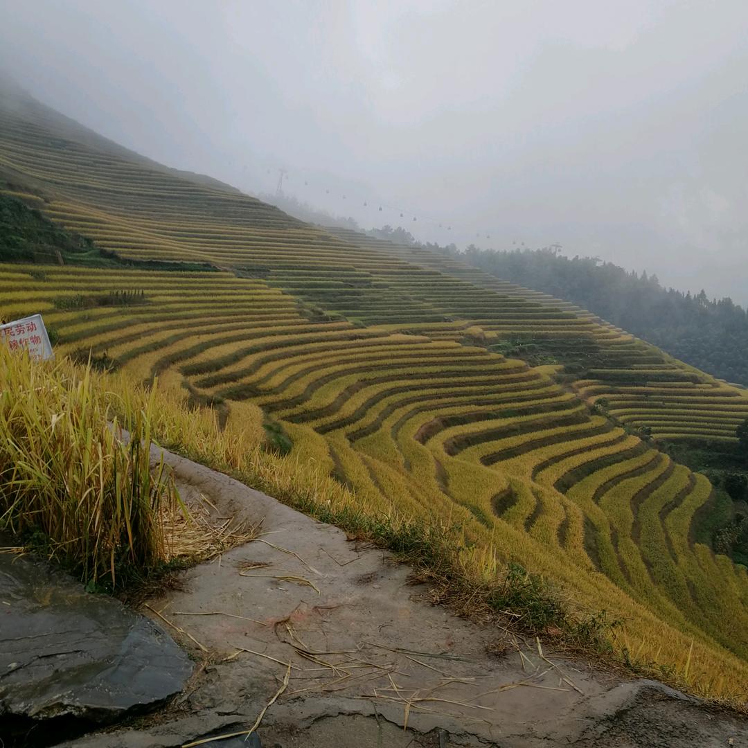 一缕阳光🌻🌻🌻