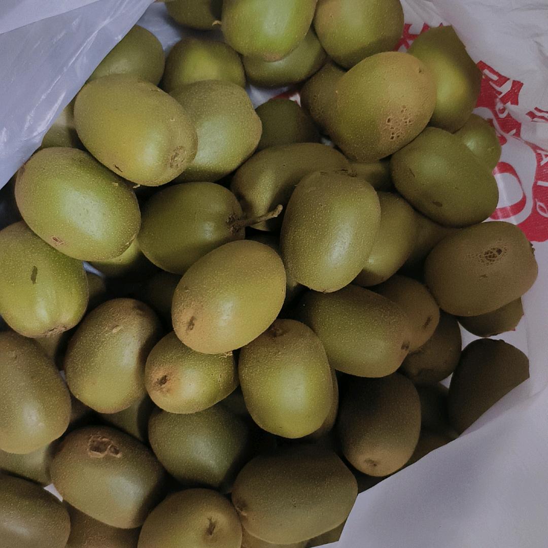 🍉🍉🍉🍉🍉🍉🍉🍉