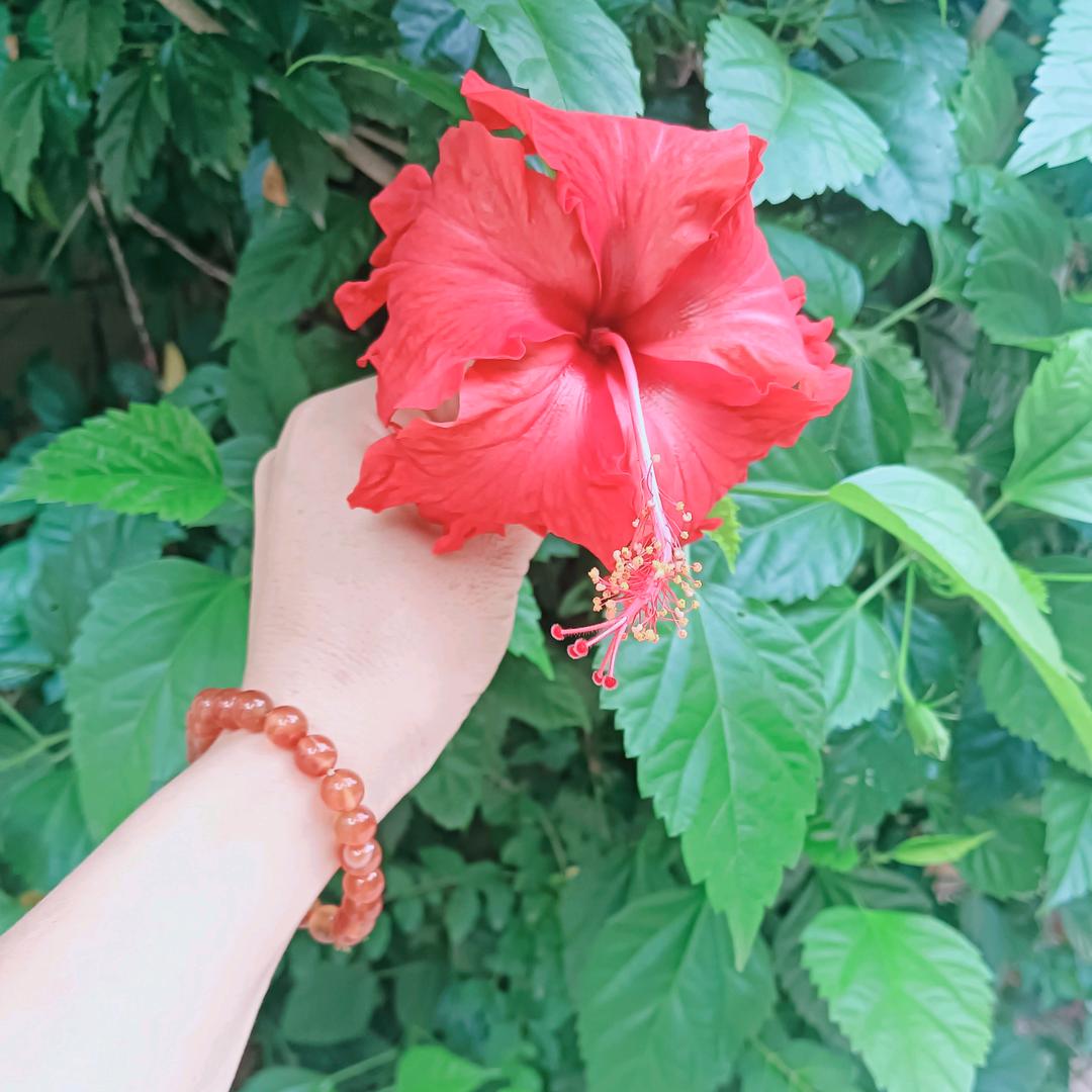 💞ꦿ꧀ᩚ信🌹赖💞