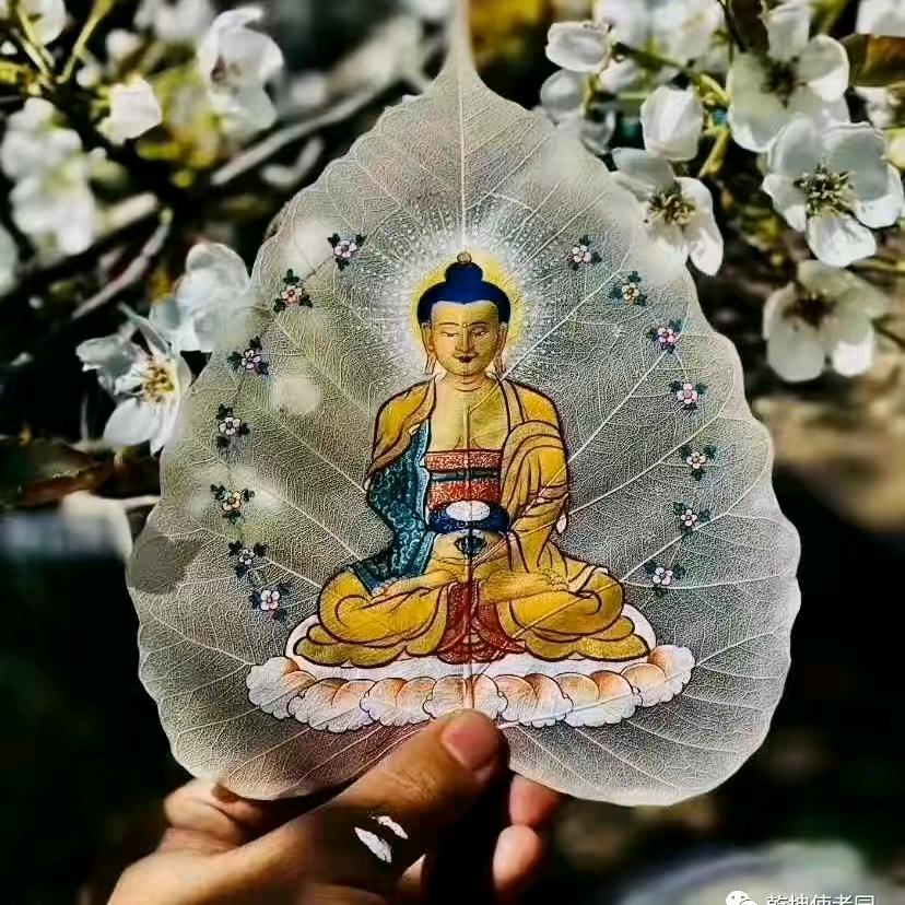 豹子之王🐷🐷