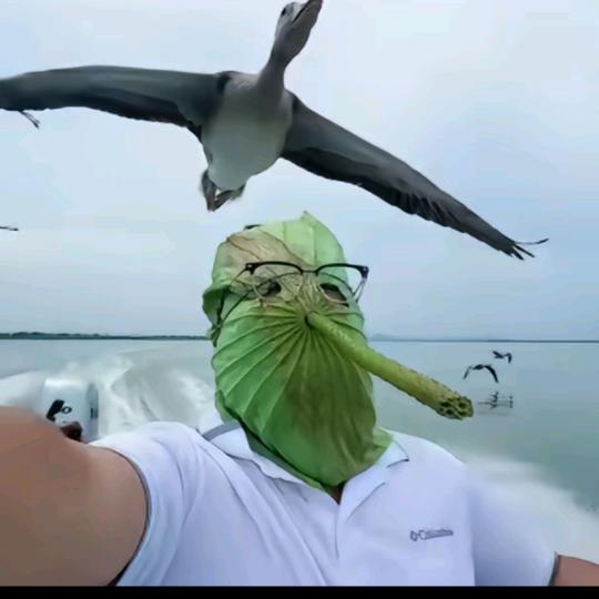 不期未来