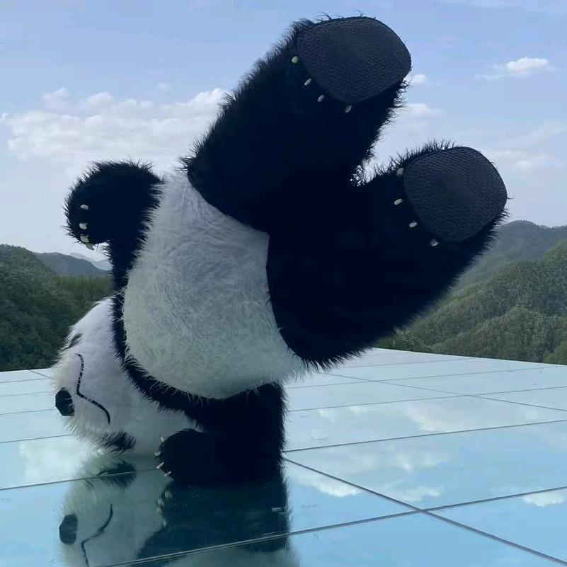 小杨♡功夫熊猫🐼精彩表演