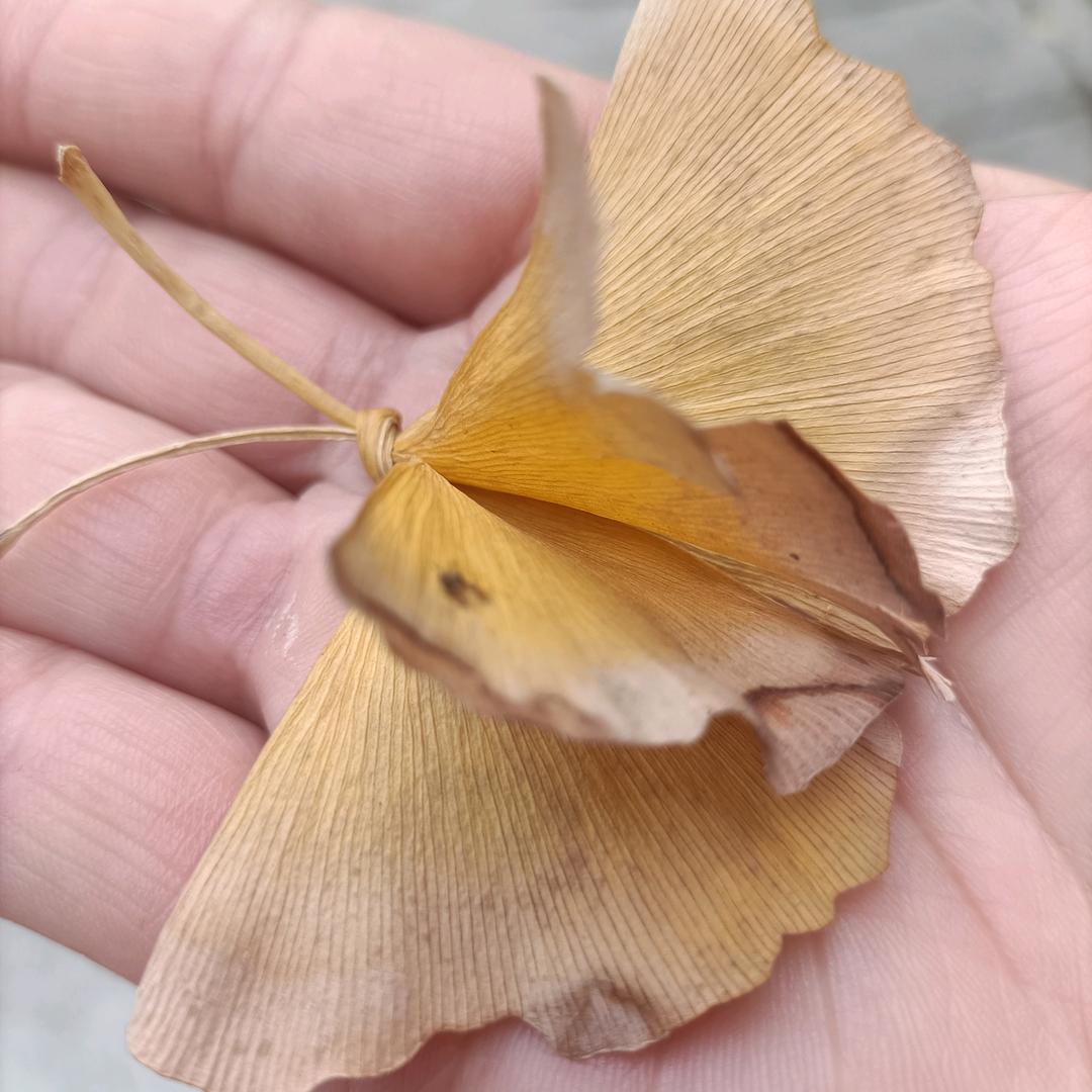 当爱离别时