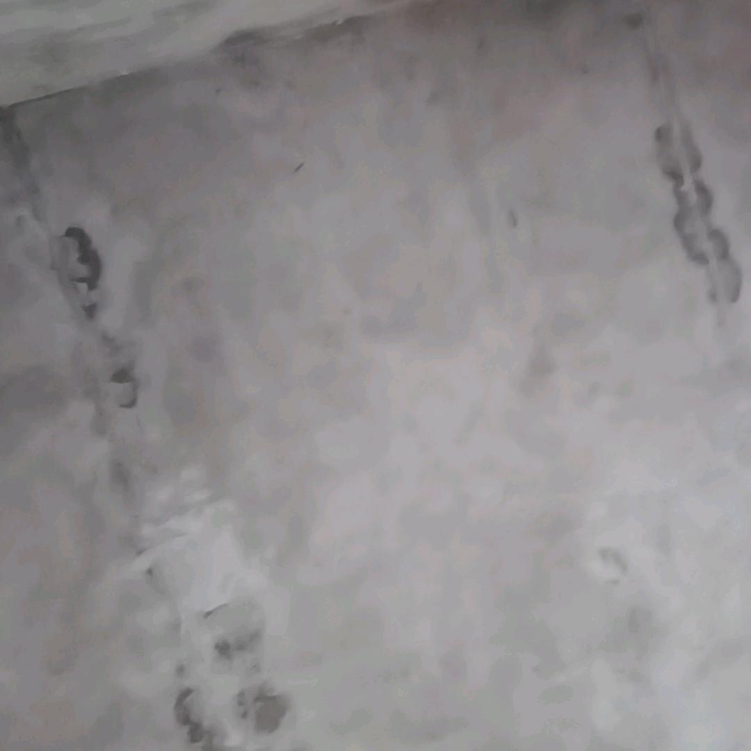 被风吹过的季节