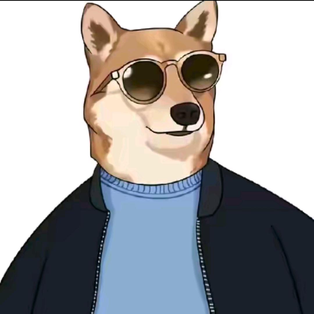 仔仔（换刀看收藏视频）