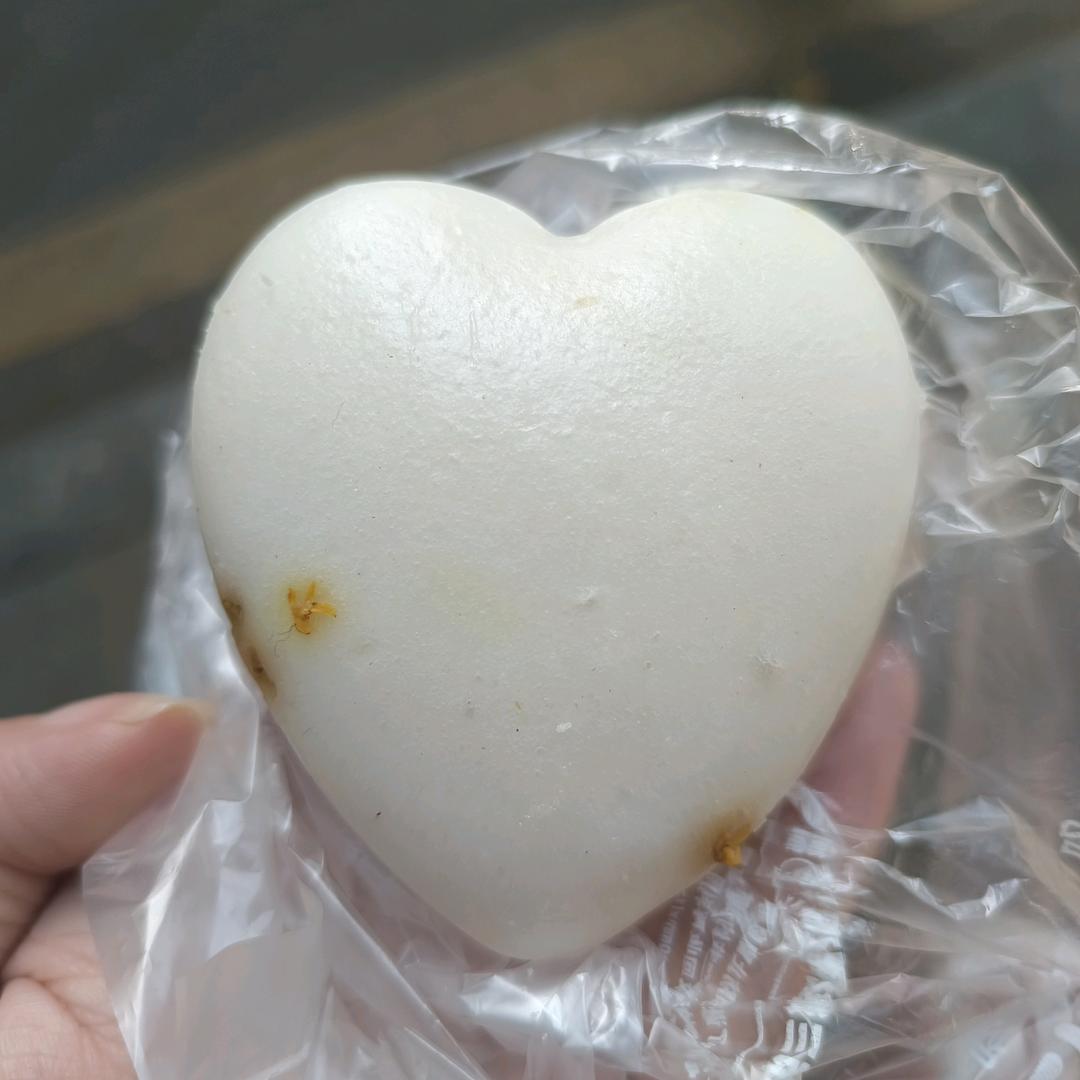 携手过彩虹桥