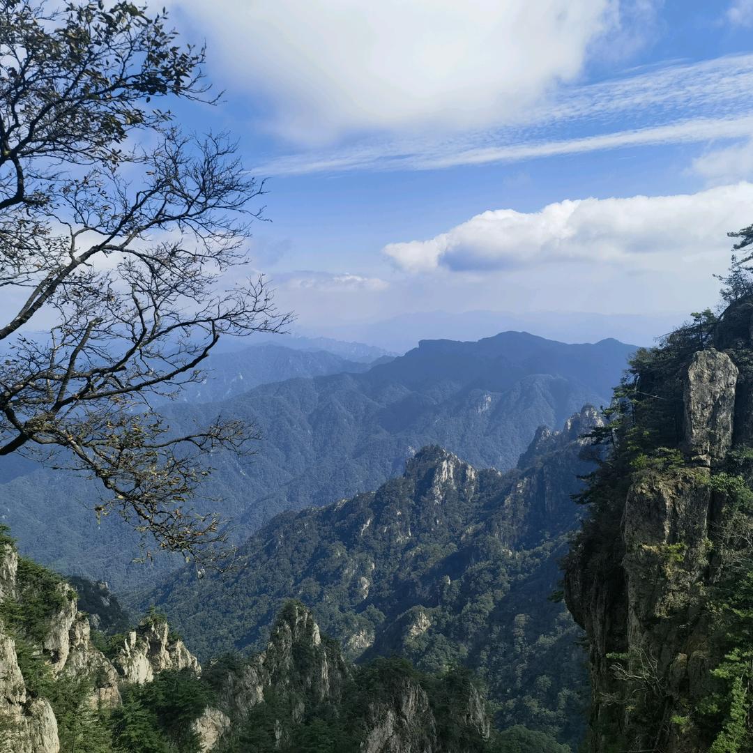 临沂优米生活