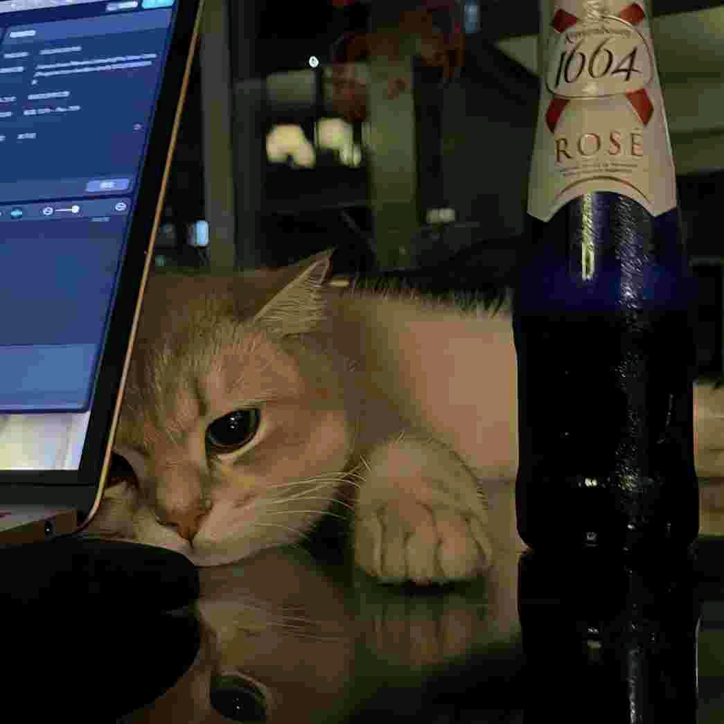 赴约