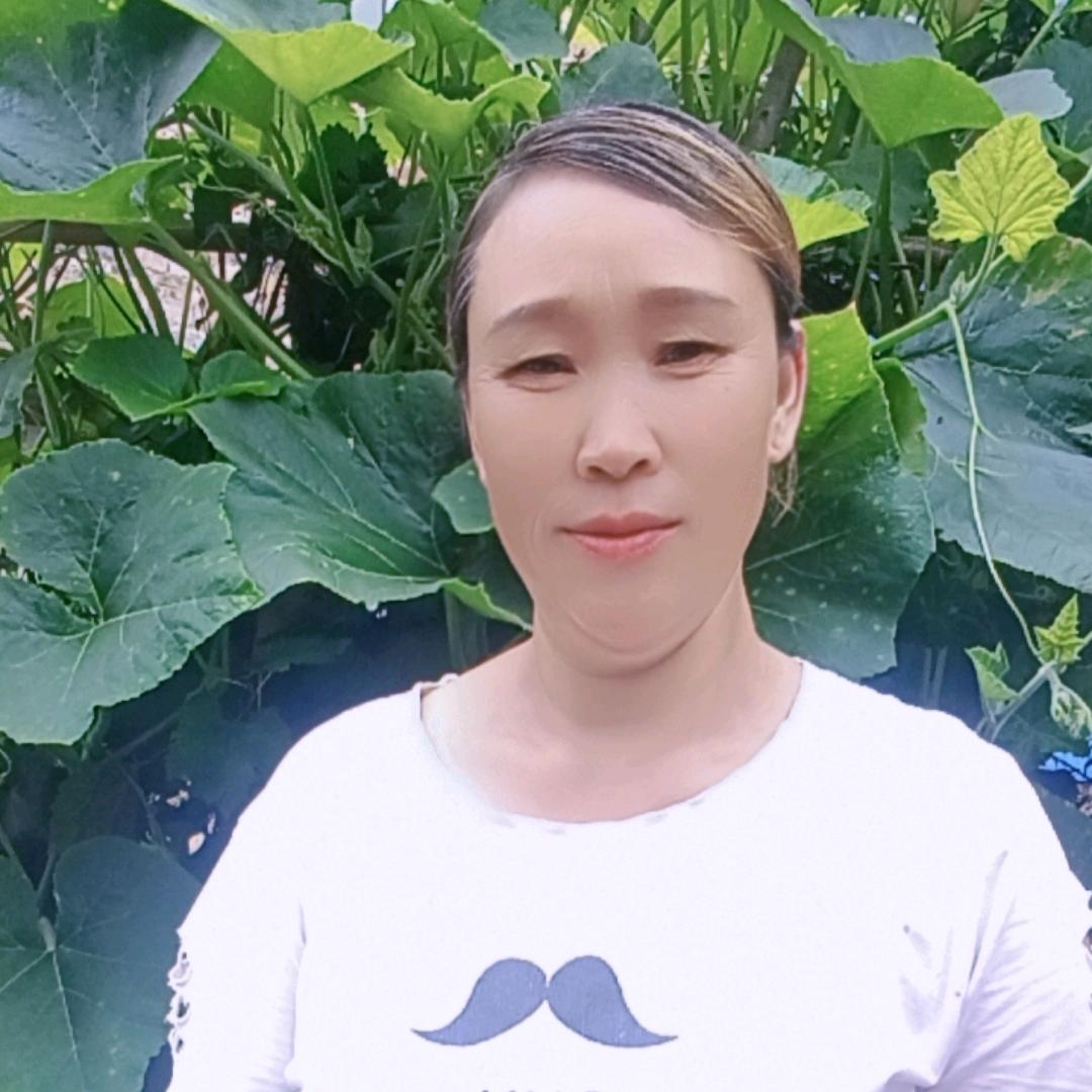 朱姐