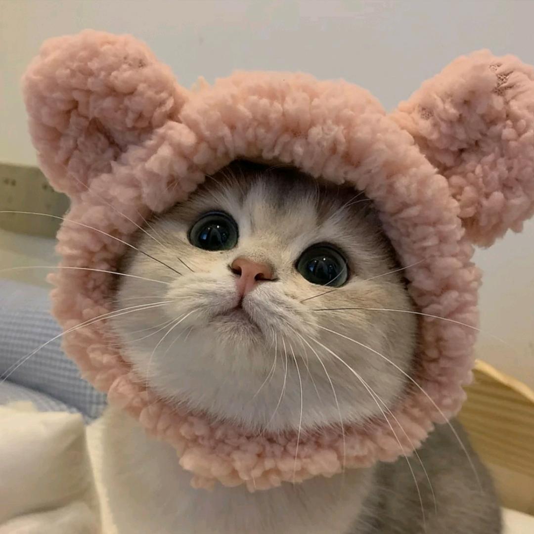 西瓜瓜
