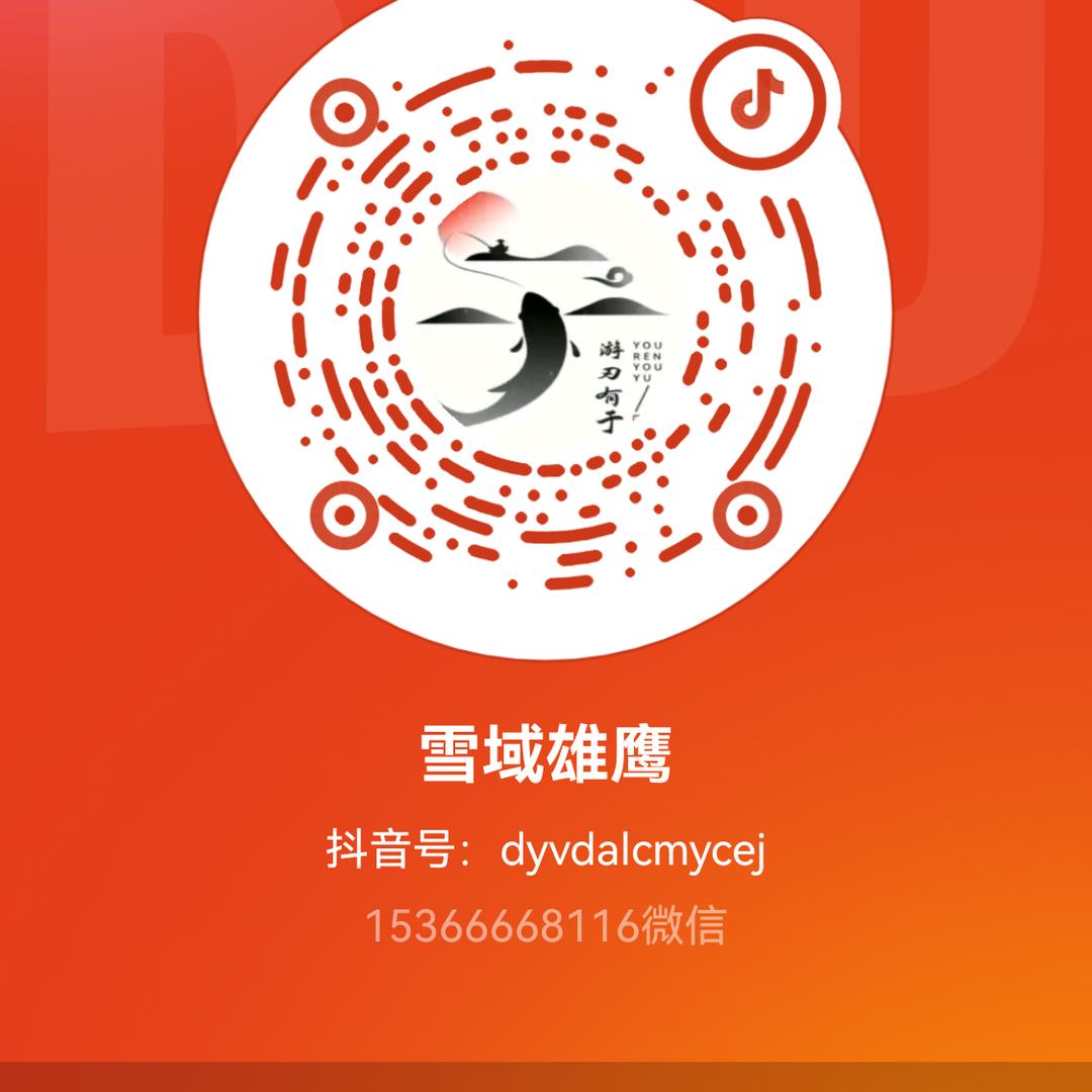 雪域雄鹰