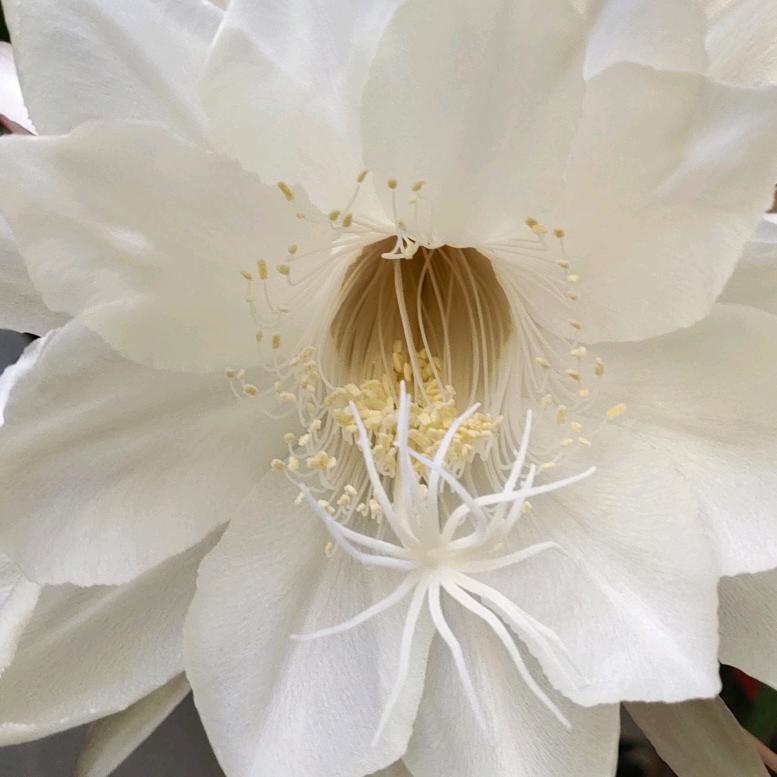 百听不不厌