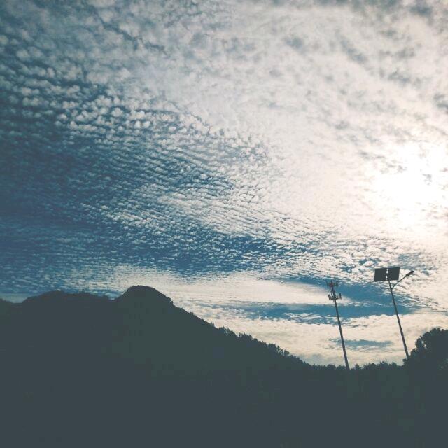 存档