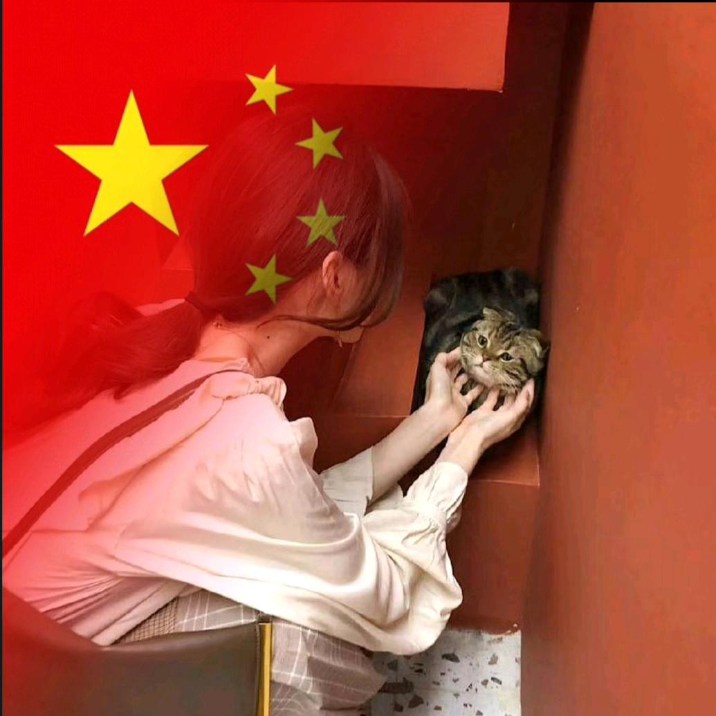 娟娟