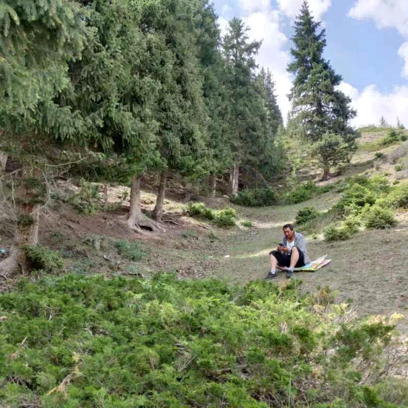 用户4858425611898绝尘