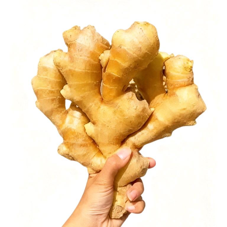 超级大一块姜