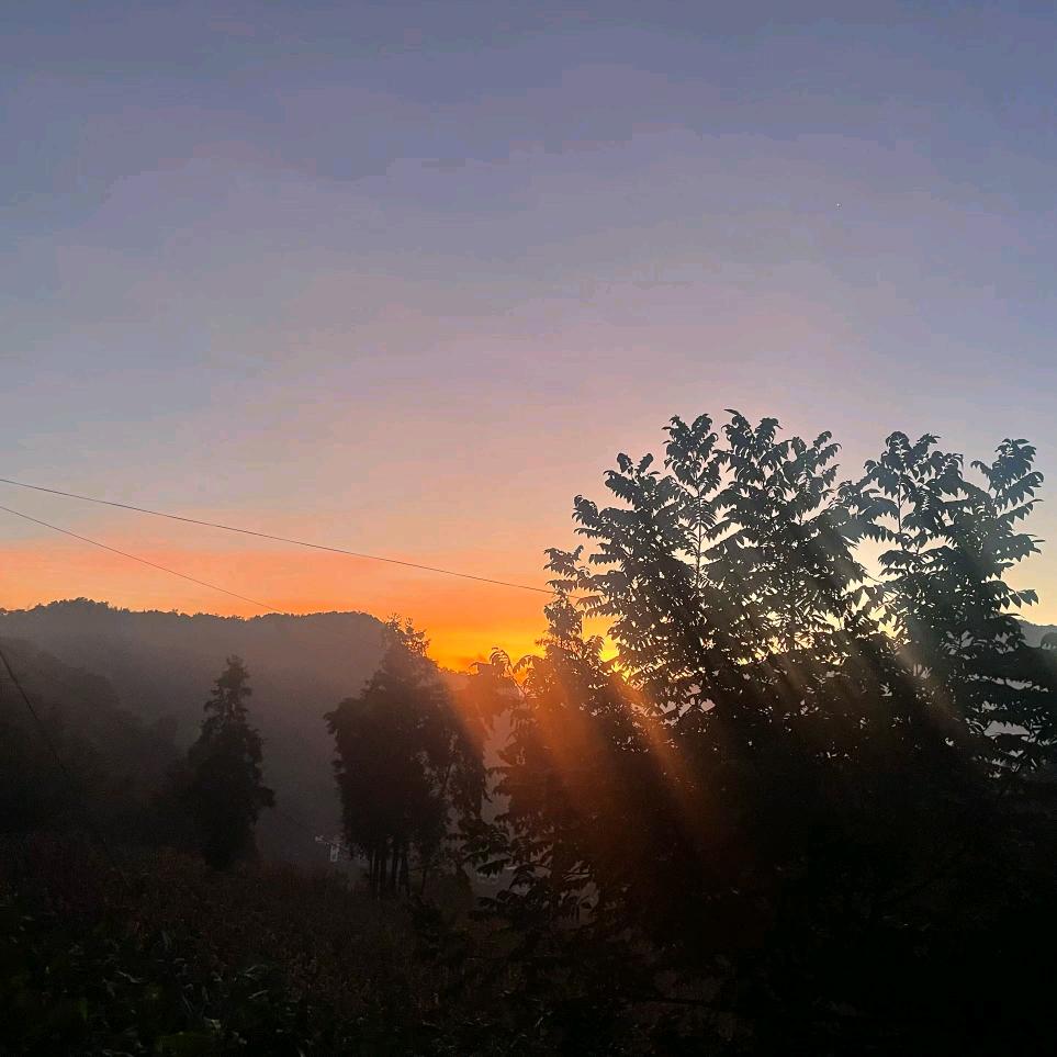 ꕥ᭄刘🍀ᨏᤨ࿐