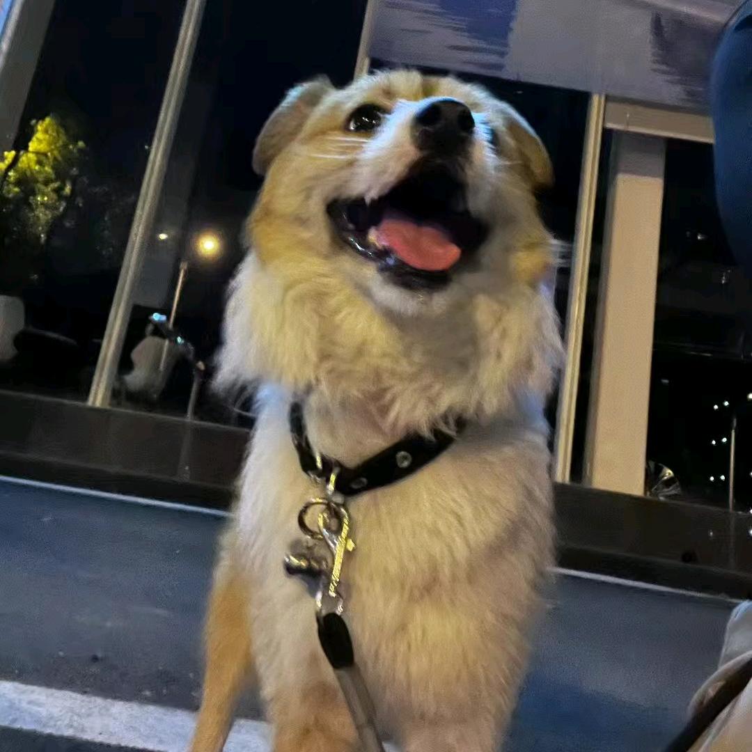 上岸先斩意中人