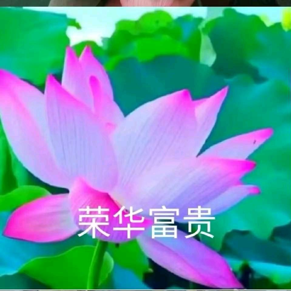 中国结小镇
